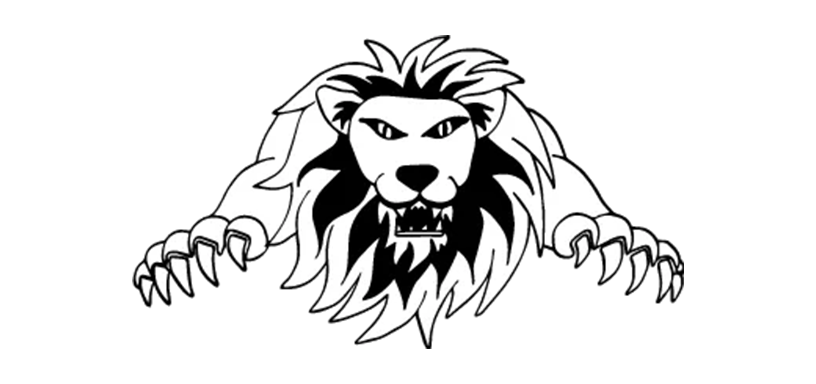 Die #1 Plattform für authentische UGC Videos