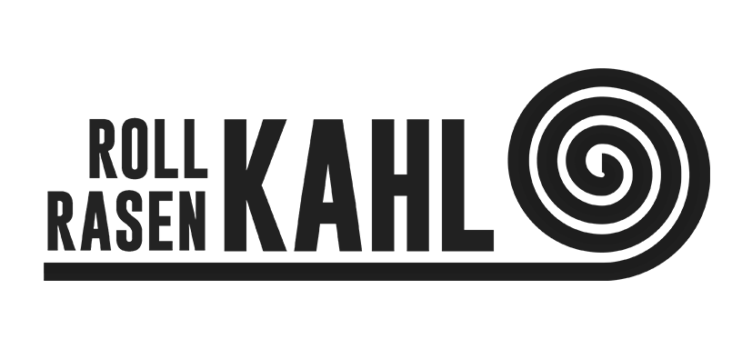 UGC Videos mit Skript schon ab 100€